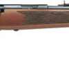 MARLIN  22